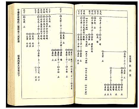 [杨]宁都宏农杨氏二届联修大成宗谱 (江西) 宁都宏农杨氏二届联修大成家谱_二十二.pdf