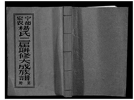 [杨]宁都宏农杨氏二届联修大成族谱_不分卷 (江西) 宁都宏农杨氏二届联修大成家谱_二.pdf