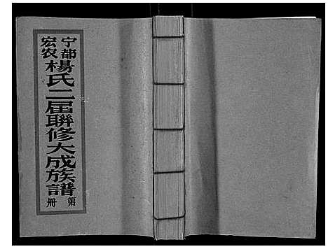 [杨]宁都宏农杨氏二届联修大成族谱_不分卷 (江西) 宁都宏农杨氏二届联修大成家谱_五.pdf