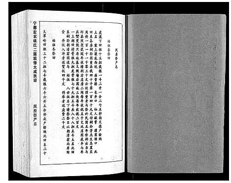 [杨]宁都宏农杨氏二届联修大成族谱_不分卷 (江西) 宁都宏农杨氏二届联修大成家谱_五.pdf