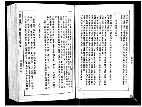 [杨]宁都宏农杨氏二届联修大成族谱_不分卷 (江西) 宁都宏农杨氏二届联修大成家谱_五.pdf