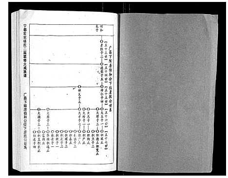 [杨]宁都宏农杨氏二届联修大成族谱_不分卷 (江西) 宁都宏农杨氏二届联修大成家谱_六.pdf