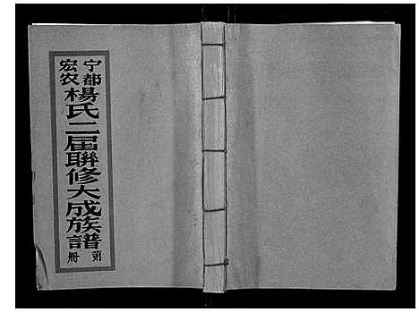 [杨]宁都宏农杨氏二届联修大成族谱_不分卷 (江西) 宁都宏农杨氏二届联修大成家谱_八.pdf