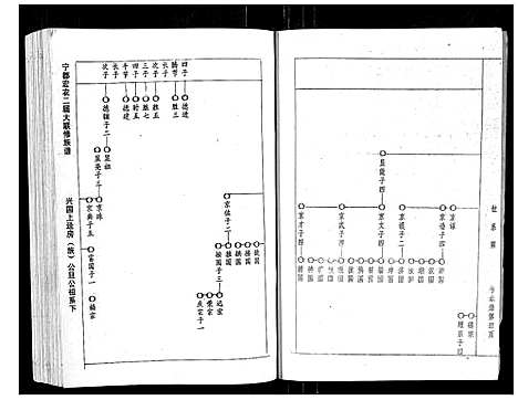 [杨]宁都宏农杨氏二届联修大成族谱_不分卷 (江西) 宁都宏农杨氏二届联修大成家谱_八.pdf