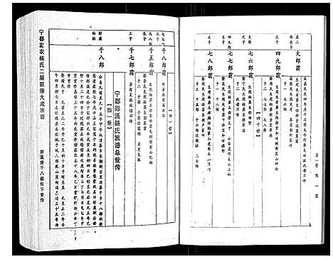 [杨]宁都宏农杨氏二届联修大成族谱_不分卷 (江西) 宁都宏农杨氏二届联修大成家谱_十.pdf