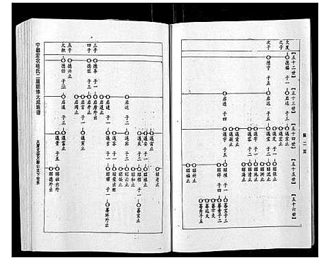 [杨]宁都宏农杨氏二届联修大成族谱_不分卷 (江西) 宁都宏农杨氏二届联修大成家谱_十二.pdf