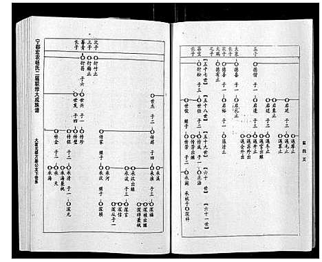 [杨]宁都宏农杨氏二届联修大成族谱_不分卷 (江西) 宁都宏农杨氏二届联修大成家谱_十二.pdf