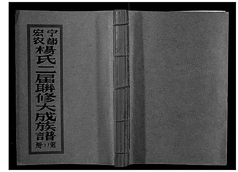 [杨]宁都宏农杨氏二届联修大成族谱_不分卷 (江西) 宁都宏农杨氏二届联修大成家谱_十八.pdf