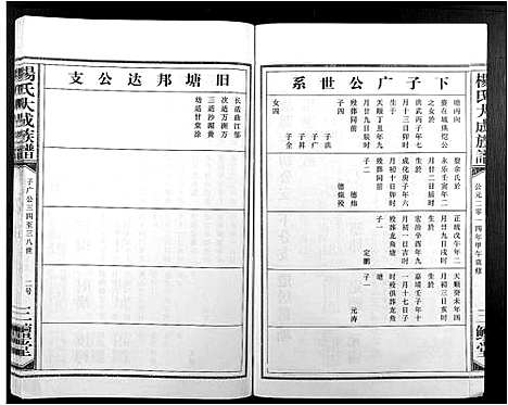 [杨]杨氏大成族谱 (江西) 杨氏大成家谱_八.pdf