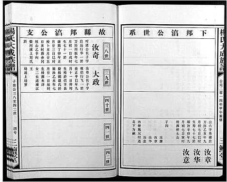 [杨]杨氏大成族谱 (江西) 杨氏大成家谱_九.pdf