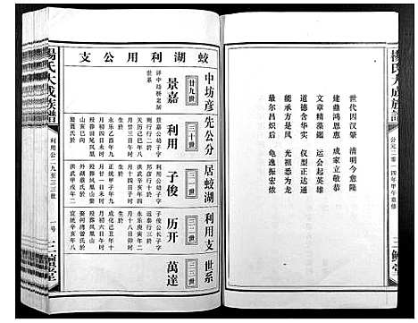 [杨]杨氏大成族谱 (江西) 杨氏大成家谱_十三.pdf