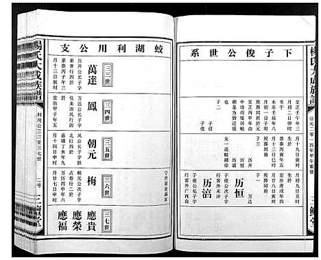 [杨]杨氏大成族谱 (江西) 杨氏大成家谱_十三.pdf