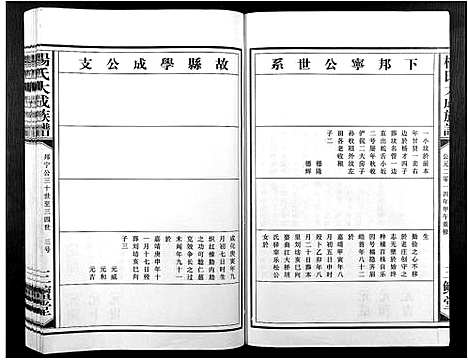 [杨]杨氏大成族谱 (江西) 杨氏大成家谱_十九.pdf