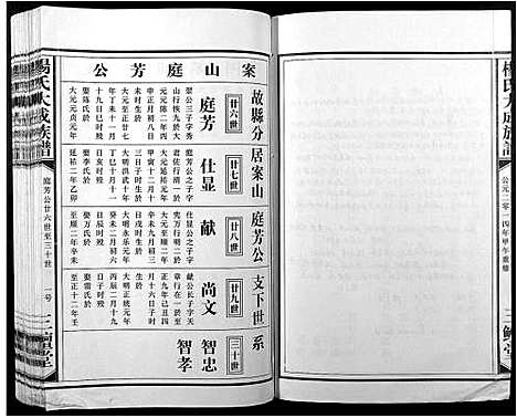 [杨]杨氏大成族谱 (江西) 杨氏大成家谱_二十一.pdf