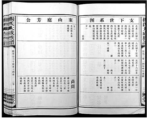 [杨]杨氏大成族谱 (江西) 杨氏大成家谱_二十一.pdf