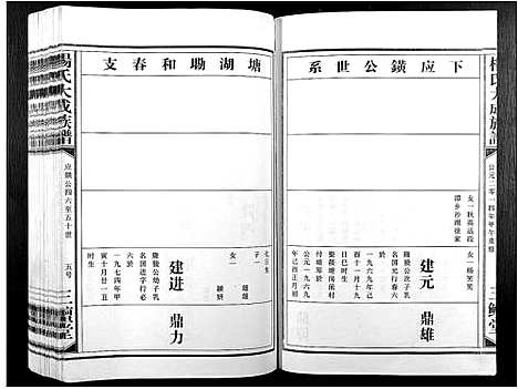 [杨]杨氏大成族谱 (江西) 杨氏大成家谱_二十七.pdf