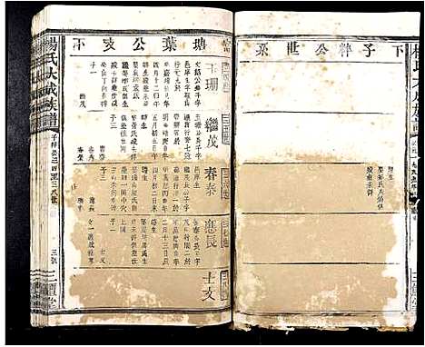 [杨]杨氏大成族谱_不分卷 (江西) 杨氏大成家谱_二十九.pdf