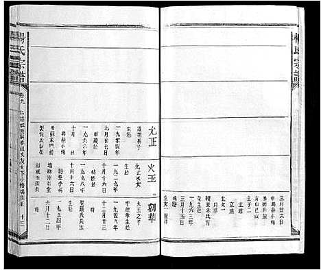 [杨]杨氏宗谱 (江西) 杨氏家谱_八.pdf