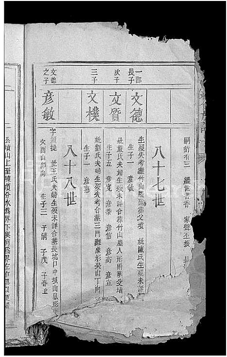 [杨]杨氏续修族谱_不分卷 (江西) 杨氏续修家谱_二.pdf