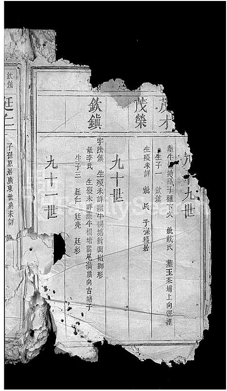 [杨]杨氏续修族谱_不分卷 (江西) 杨氏续修家谱_五.pdf