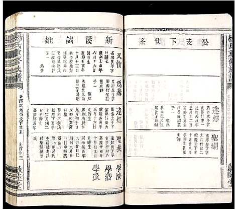 [杨]杨氏重修族谱 (江西) 杨氏重修家谱_十一.pdf