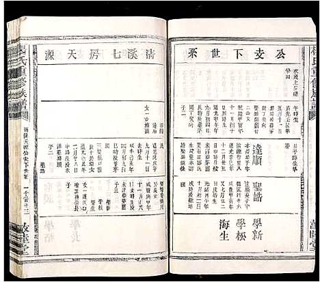 [杨]杨氏重修族谱 (江西) 杨氏重修家谱_十二.pdf