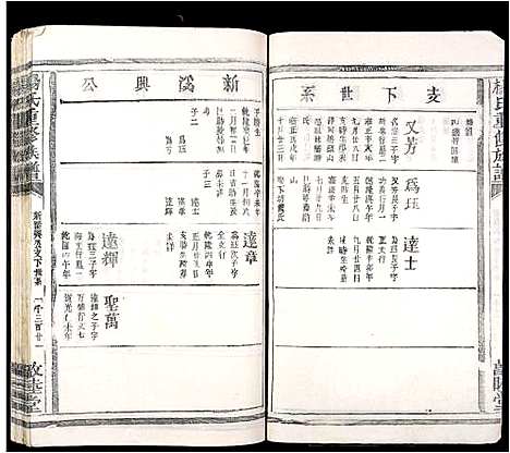 [杨]杨氏重修族谱 (江西) 杨氏重修家谱_十三.pdf