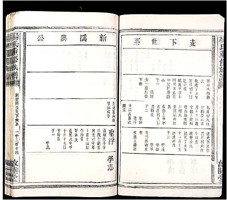 [杨]杨氏重修族谱 (江西) 杨氏重修家谱_十三.pdf