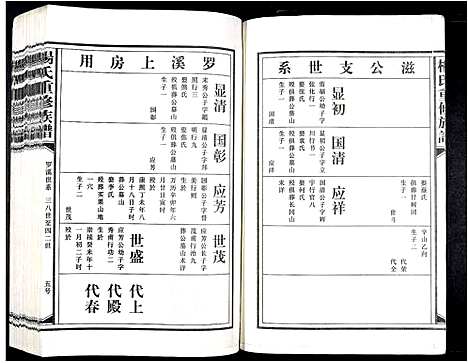 [杨]杨氏重修族谱_不分卷 (江西) 杨氏重修家谱_六.pdf