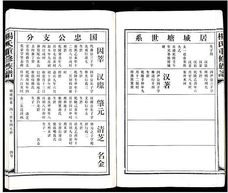 [杨]杨氏重修族谱_不分卷 (江西) 杨氏重修家谱_八.pdf