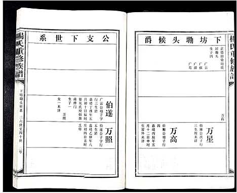 [杨]杨氏重修族谱_不分卷 (江西) 杨氏重修家谱_九.pdf