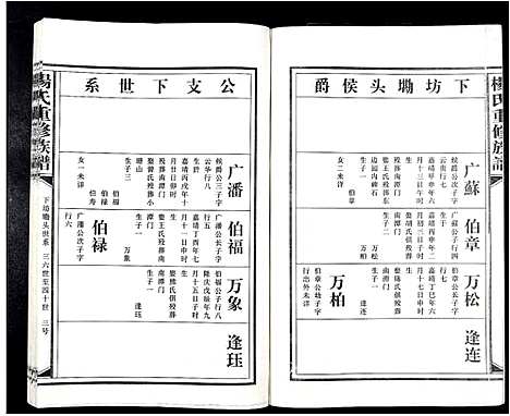 [杨]杨氏重修族谱_不分卷 (江西) 杨氏重修家谱_九.pdf