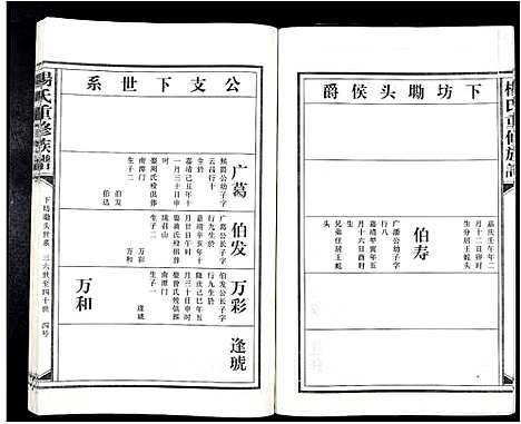 [杨]杨氏重修族谱_不分卷 (江西) 杨氏重修家谱_九.pdf