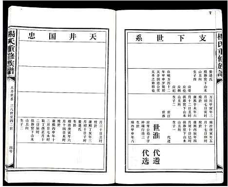 [杨]杨氏重修族谱_不分卷 (江西) 杨氏重修家谱_十一.pdf