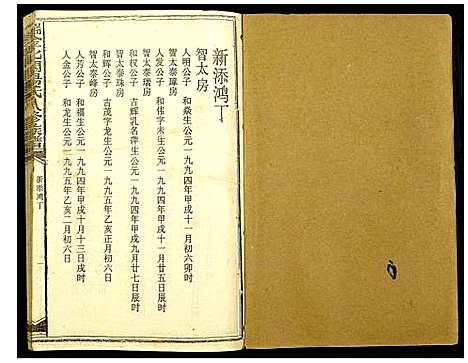 [杨]瑞金北闗杨氏八修族谱 (江西) 瑞金北闗杨氏八修家谱_六.pdf