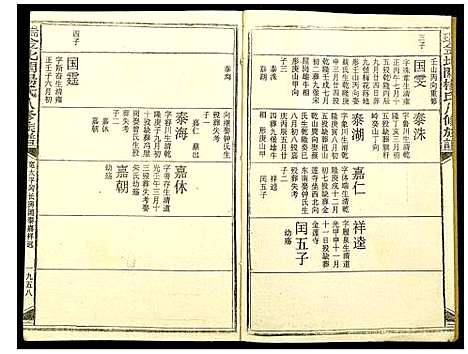 [杨]瑞金北闗杨氏八修族谱 (江西) 瑞金北闗杨氏八修家谱_二十一.pdf