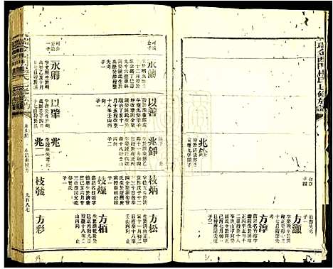 [杨]瑞金西门杨氏七修族谱 (江西) 瑞金西门杨氏七修家谱_九.pdf