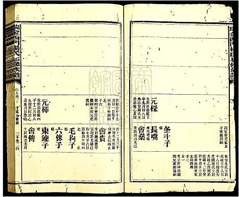 [杨]瑞金西门杨氏七修族谱 (江西) 瑞金西门杨氏七修家谱_二十八.pdf