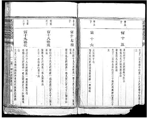 [杨]莲湖杨氏宗谱 (江西) 莲湖杨氏家谱_三.pdf