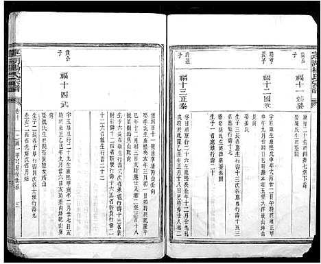 [杨]莲湖杨氏宗谱 (江西) 莲湖杨氏家谱_四.pdf