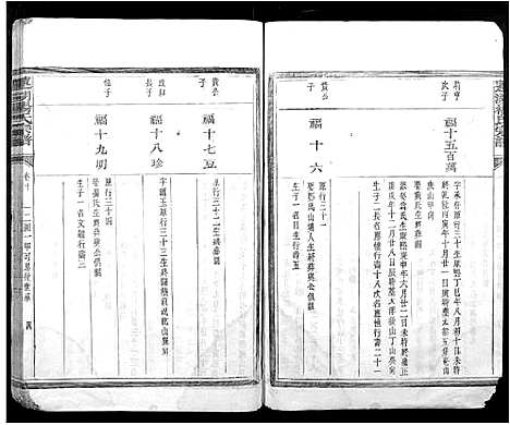 [杨]莲湖杨氏宗谱 (江西) 莲湖杨氏家谱_四.pdf