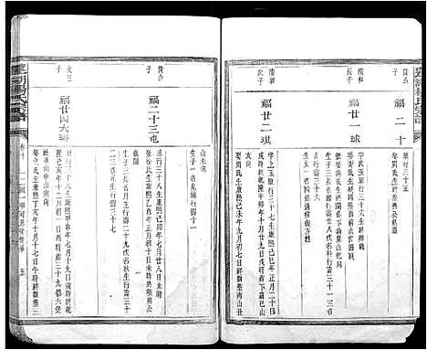 [杨]莲湖杨氏宗谱 (江西) 莲湖杨氏家谱_四.pdf