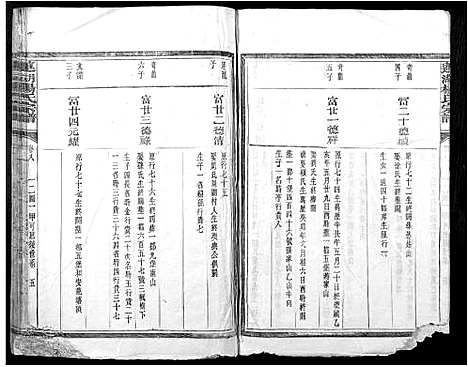 [杨]莲湖杨氏宗谱_17卷首末各1卷 (江西) 莲湖杨氏家谱_三.pdf