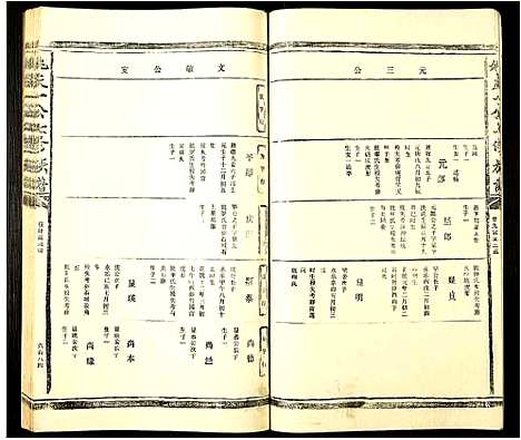 [姚]姚庆一公七修族谱 (江西) 姚庆一公七修家谱_十.pdf