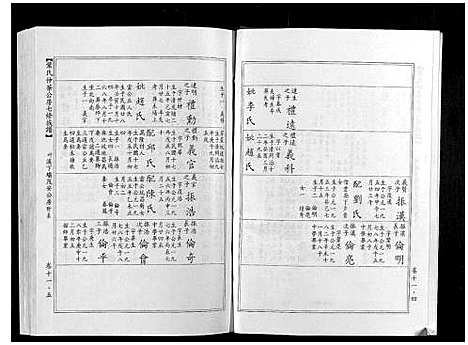 [叶]叶氏仲华公房七修族谱 (江西、广东) 叶氏仲华公房七修家谱_十一.pdf