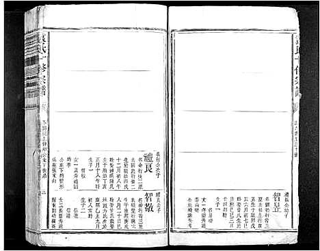 [袁]袁氏十修族谱_不分卷 (江西) 袁氏十修家谱_二.pdf