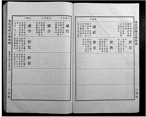 [袁]袁氏首届合修族谱 (江西) 袁氏首届合修家谱_十六.pdf