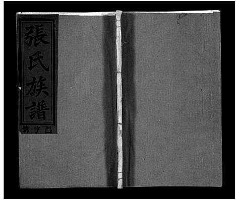 [张]张氏族谱_21卷-张氏族谱 (江西、安徽) 张氏家谱_十五.pdf