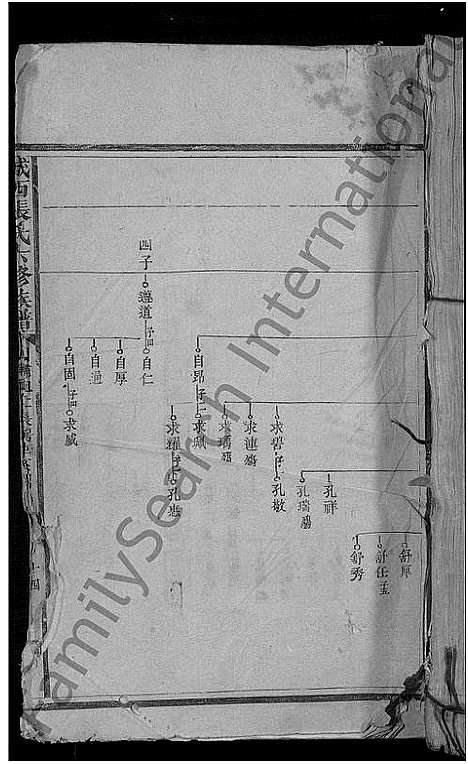 [张]城西张氏六修族谱_不分卷 (江西) 城西张氏六修家谱_二.pdf