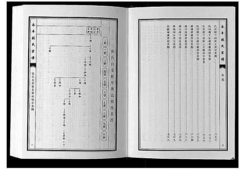 [张]永丰张氏宗谱 (江西) 永丰张氏家谱_二.pdf